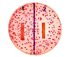 I2Pure Test Results